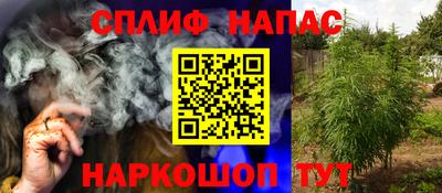 мяу мяу мука Бугуруслан